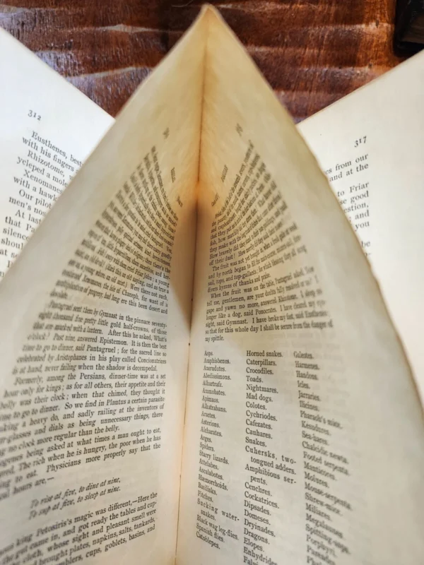 The Bibliophilist's Library - Set of 10 Books - Image 21